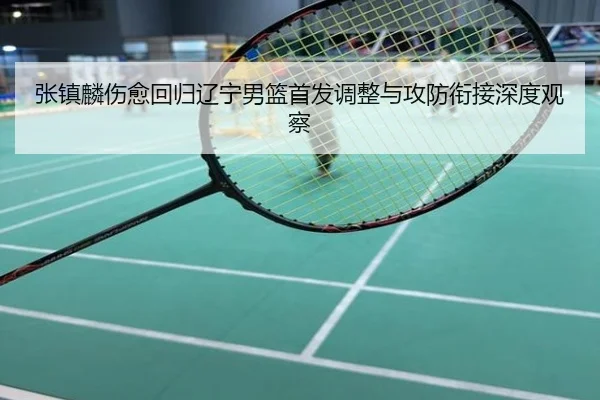 张镇麟伤愈回归辽宁男篮首发调整与攻防衔接深度观察